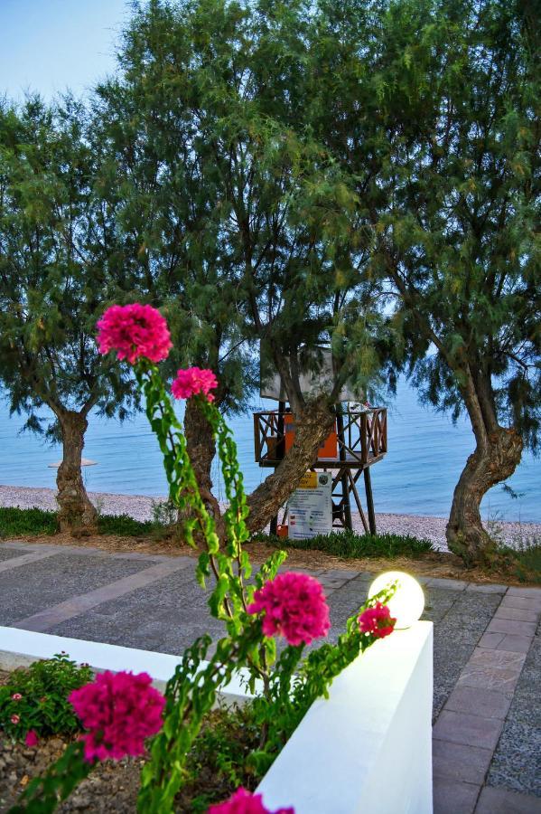 Aliki Studios Paralia Agias Foteinis Extérieur photo