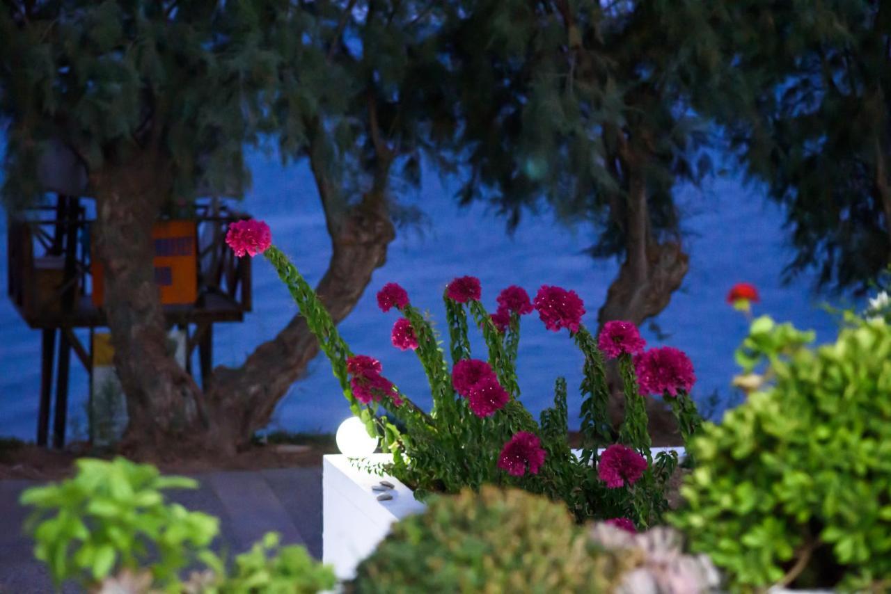 Aliki Studios Paralia Agias Foteinis Extérieur photo