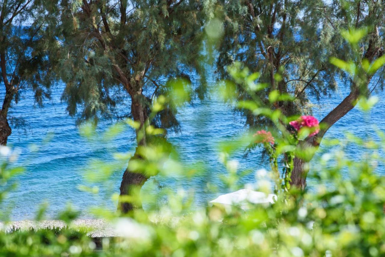 Aliki Studios Paralia Agias Foteinis Extérieur photo